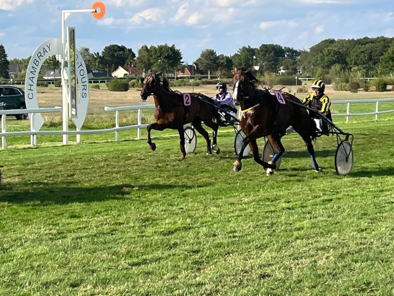 IMG-20220911-WA0001b